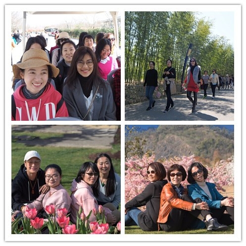 initpintu_副本 initpintu_副本