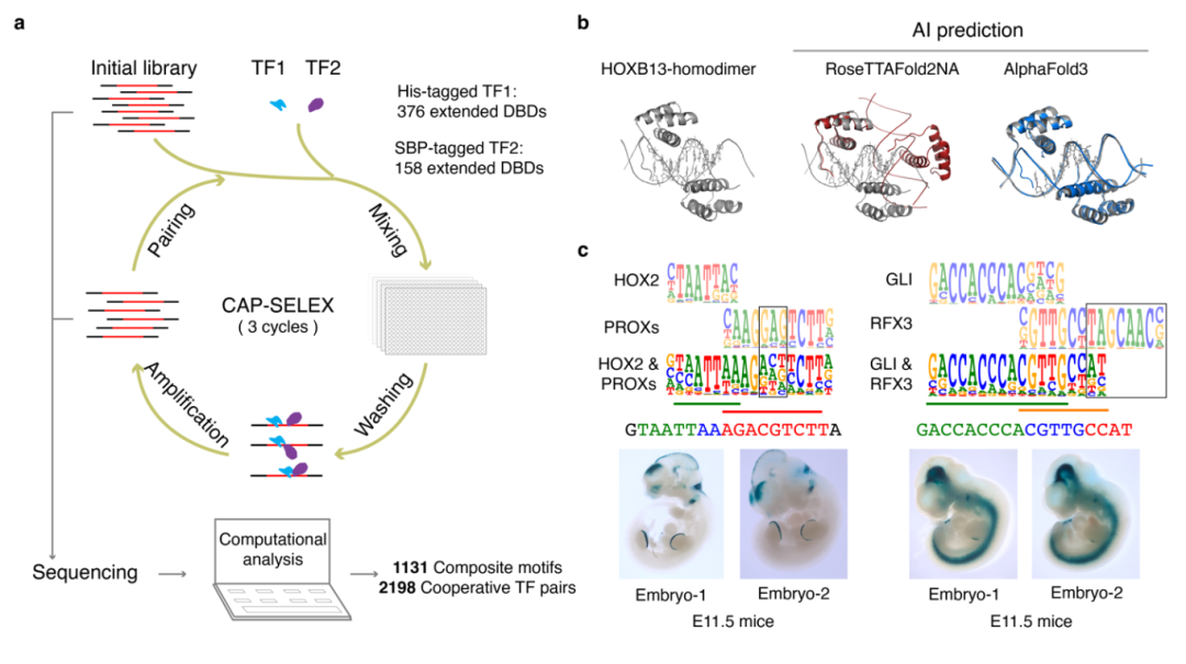 1744350569265.png 6EC5D59971CBF21FDB92F699875_FB7FAF5A_49B63.png