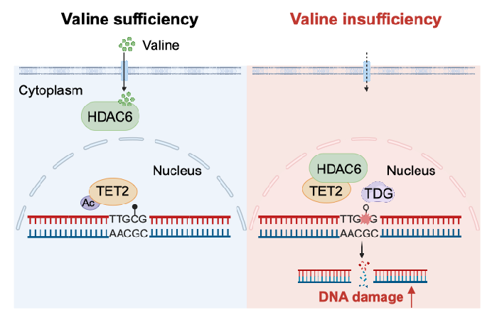 17322436919239.png A71DE5F2127AE7AD99E58358914_1CDEC45E_1000D.png