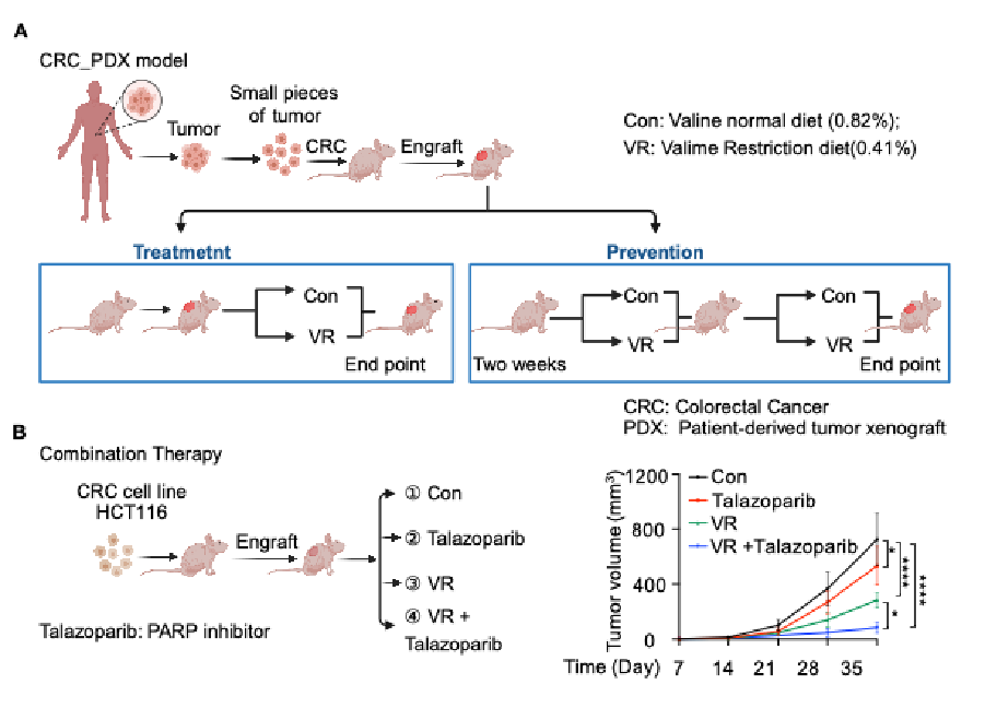 17322437345412.png 38522AC45E80B369396224FC504_9B7C4305_14D65.png