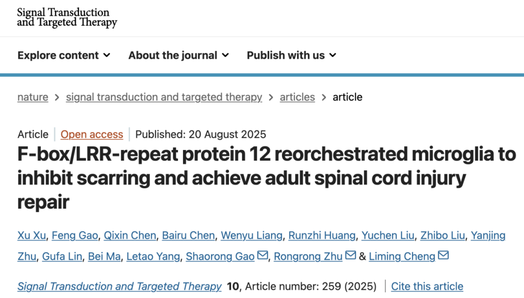 STTT丨伟德国际victor1946程黎明/高绍荣/朱融融教授团队合作揭示FBXL12促脊髓损伤修复机制